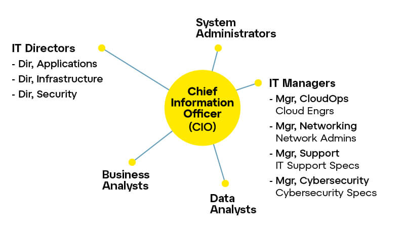 Centralized IT department structure chart